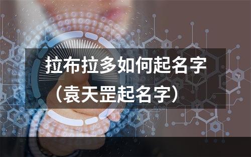 拉布拉多如何起名字（袁天罡起名字）