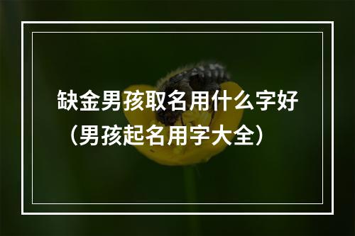 缺金男孩取名用什么字好（男孩起名用字大全）