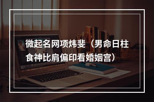 微起名网项炜斐（男命日柱食神比肩偏印看婚姻宫）