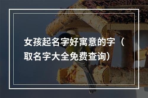 女孩起名字好寓意的字（取名字大全免费查询）