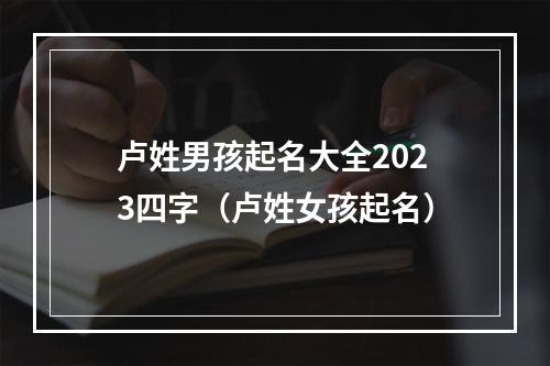 卢姓男孩起名大全2023四字（卢姓女孩起名）