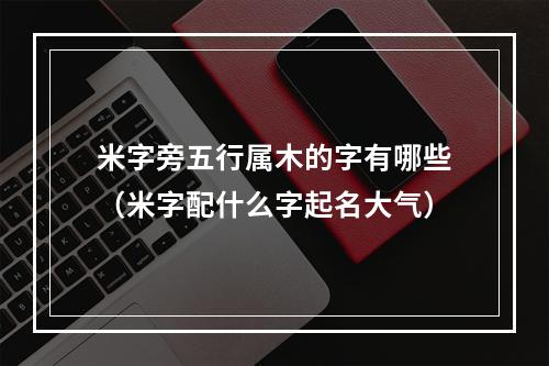 米字旁五行属木的字有哪些（米字配什么字起名大气）