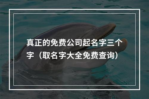 真正的免费公司起名字三个字（取名字大全免费查询）
