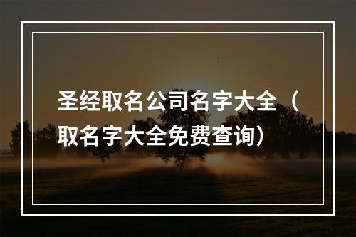 圣经取名公司名字大全（取名字大全免费查询）