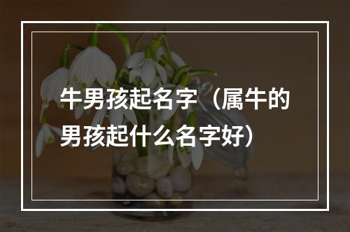 牛男孩起名字（属牛的男孩起什么名字好）
