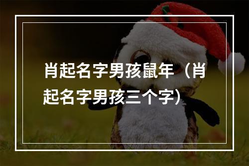 肖起名字男孩鼠年（肖起名字男孩三个字）
