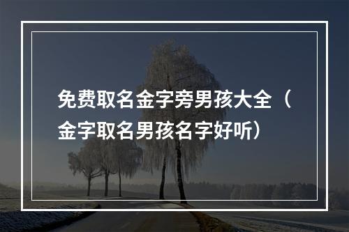 免费取名金字旁男孩大全（金字取名男孩名字好听）