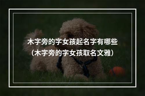 木字旁的字女孩起名字有哪些（木字旁的字女孩取名文雅）
