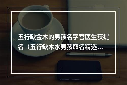 五行缺金木的男孩名字宫医生获提名（五行缺木水男孩取名精选）