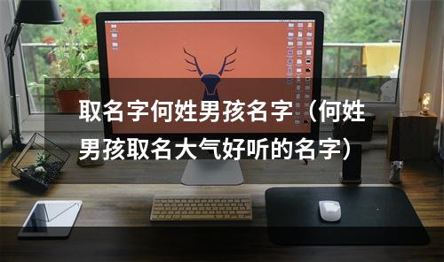 取名字何姓男孩名字（何姓男孩取名大气好听的名字）