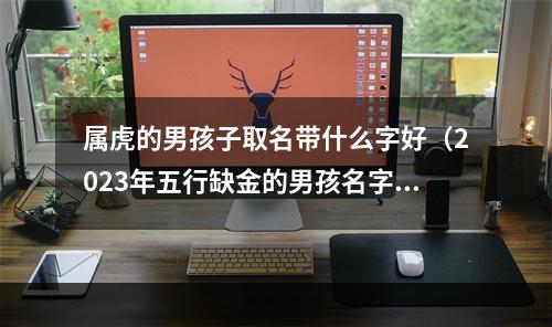 属虎的男孩子取名带什么字好（2023年五行缺金的男孩名字）