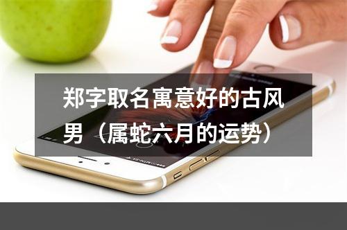 郑字取名寓意好的古风男（属蛇六月的运势）