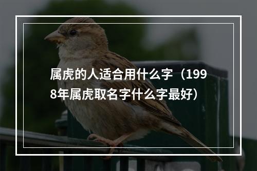 属虎的人适合用什么字（1998年属虎取名字什么字最好）