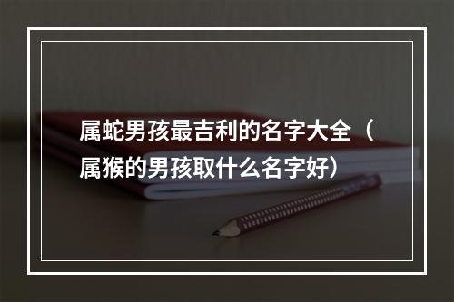 属蛇男孩最吉利的名字大全（属猴的男孩取什么名字好）