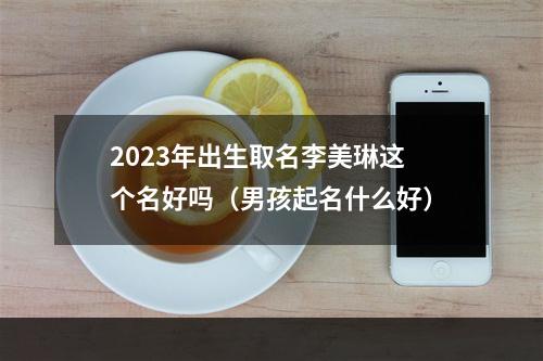 2023年出生取名李美琳这个名好吗（男孩起名什么好）