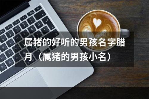 属猪的好听的男孩名字腊月（属猪的男孩小名）