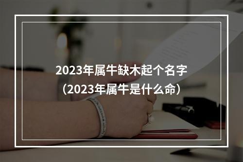 2023年属牛缺木起个名字（2023年属牛是什么命）