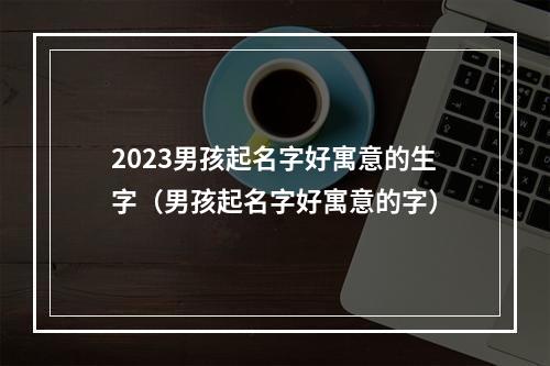 2023男孩起名字好寓意的生字（男孩起名字好寓意的字）
