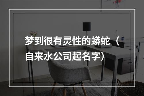 梦到很有灵性的蟒蛇（自来水公司起名字）