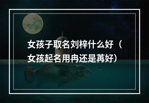 女孩子取名刘梓什么好（女孩起名用冉还是苒好）