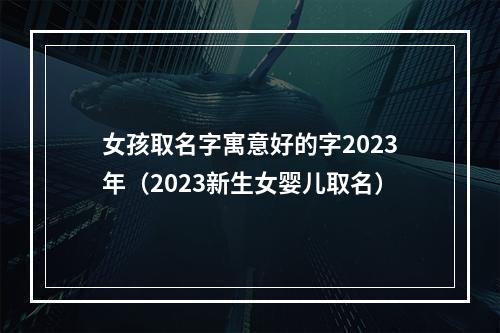 女孩取名字寓意好的字2023年（2023新生女婴儿取名）