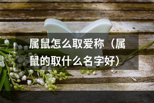 属鼠怎么取爱称（属鼠的取什么名字好）