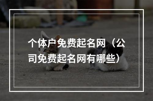 个体户免费起名网（公司免费起名网有哪些）