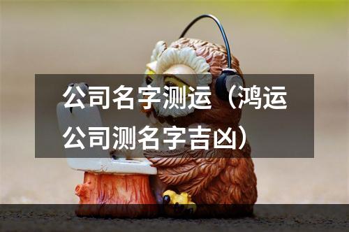 公司名字测运（鸿运公司测名字吉凶）