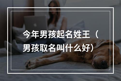 今年男孩起名姓王（男孩取名叫什么好）
