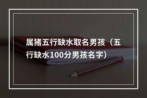 属猪五行缺水取名男孩（五行缺水100分男孩名字）