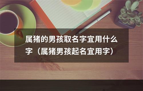 属猪的男孩取名字宜用什么字（属猪男孩起名宜用字）