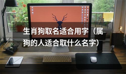 生肖狗取名适合用字（属狗的人适合取什么名字）