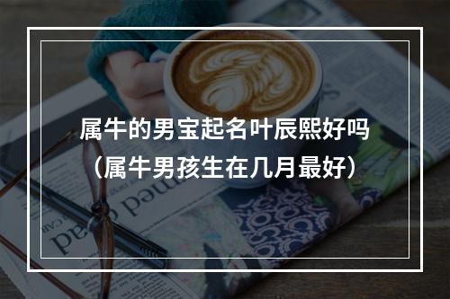属牛的男宝起名叶辰熙好吗（属牛男孩生在几月最好）
