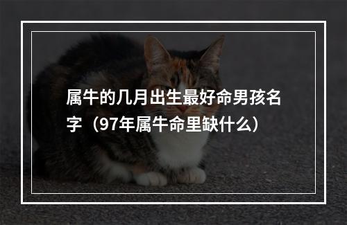 属牛的几月出生最好命男孩名字（97年属牛命里缺什么）