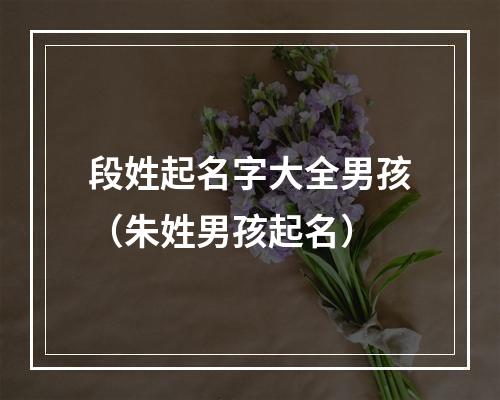 段姓起名字大全男孩（朱姓男孩起名）