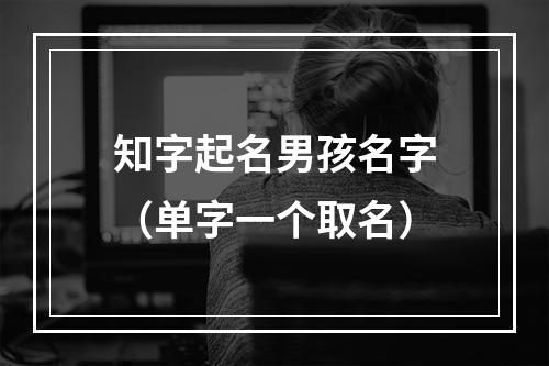 知字起名男孩名字（单字一个取名）