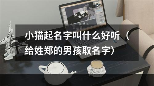 小猫起名字叫什么好听（给姓郑的男孩取名字）