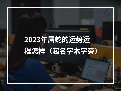 2023年属蛇的运势运程怎样（起名字木字旁）