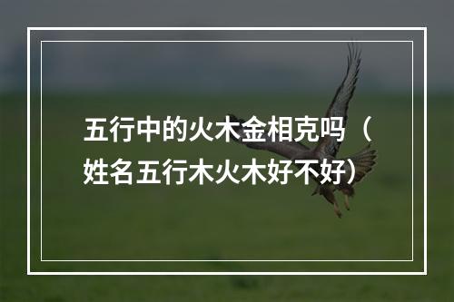 五行中的火木金相克吗（姓名五行木火木好不好）