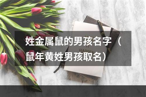 姓金属鼠的男孩名字（鼠年黄姓男孩取名）