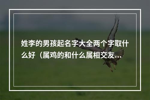 姓李的男孩起名字大全两个字取什么好（属鸡的和什么属相交友）