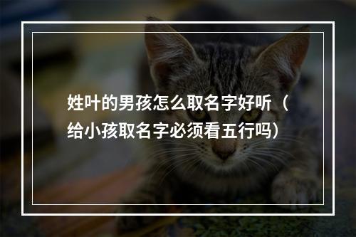 姓叶的男孩怎么取名字好听（给小孩取名字必须看五行吗）