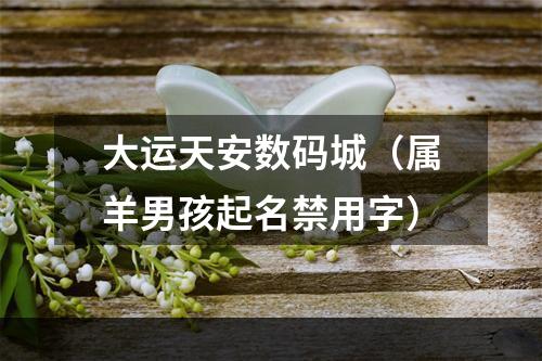 大运天安数码城（属羊男孩起名禁用字）
