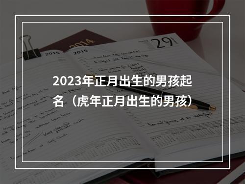 2023年正月出生的男孩起名（虎年正月出生的男孩）