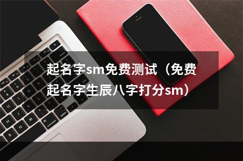 起名字sm免费测试（免费起名字生辰八字打分sm）