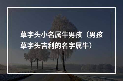 草字头小名属牛男孩（男孩草字头吉利的名字属牛）
