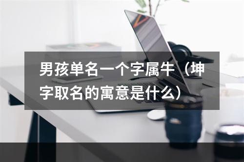 男孩单名一个字属牛（坤字取名的寓意是什么）