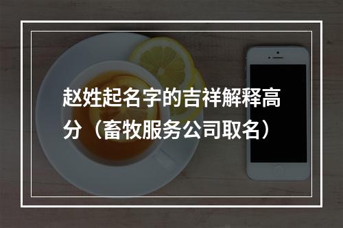 赵姓起名字的吉祥解释高分（畜牧服务公司取名）