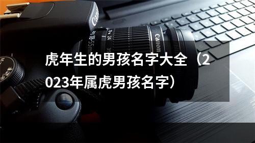 虎年生的男孩名字大全（2023年属虎男孩名字）