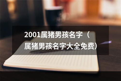 2001属猪男孩名字（属猪男孩名字大全免费）